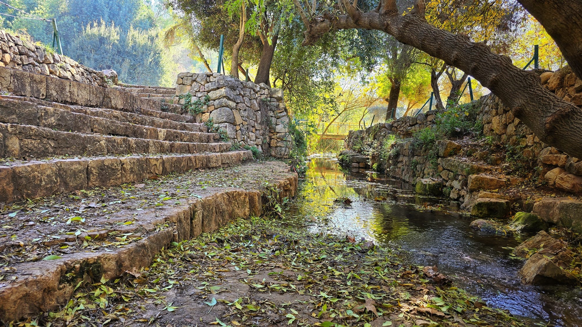 מטיילים בפינת חמד קסומה