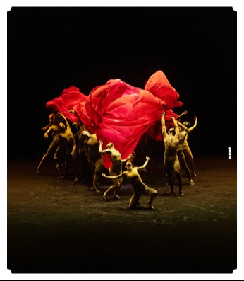 BOLERO X – שחר בנימיני