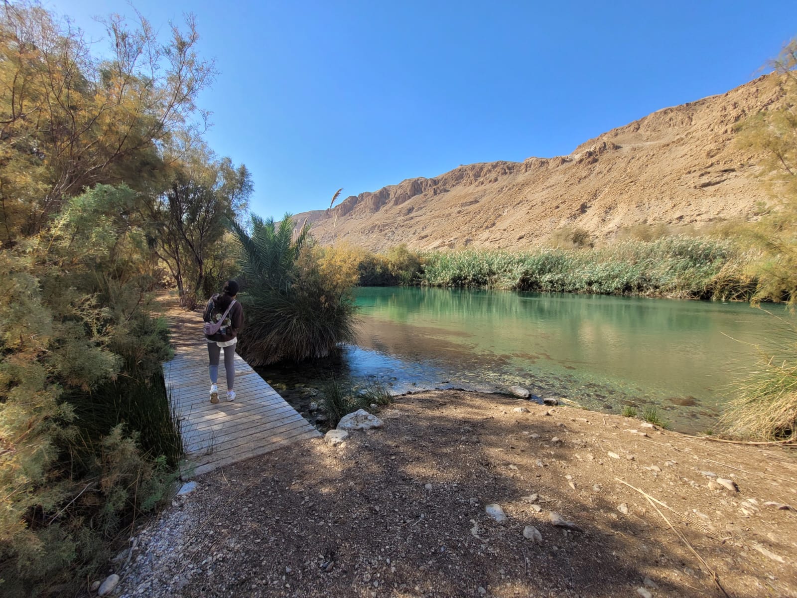 במקום הכי נמוך רגע מרומם בטבע – סיור ב ליווי שפה פשוטה